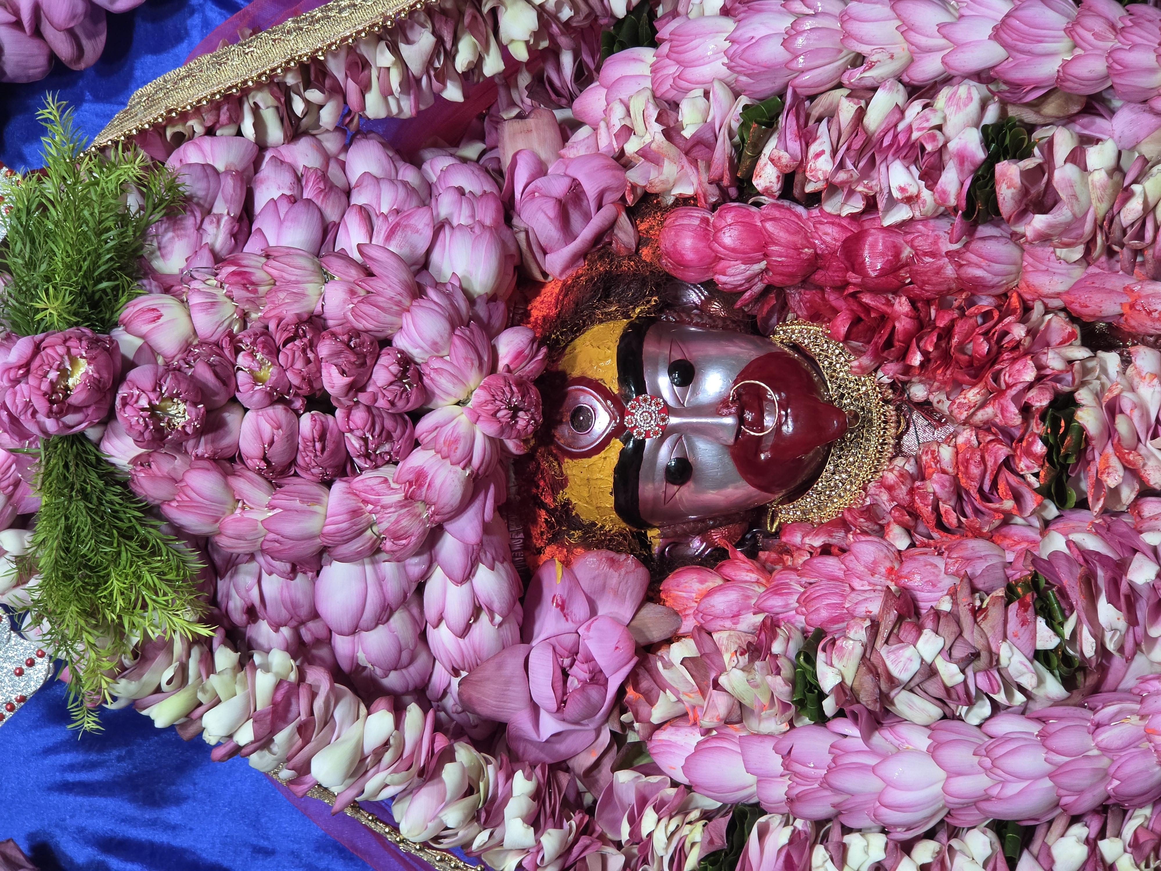 Mandir Darshan